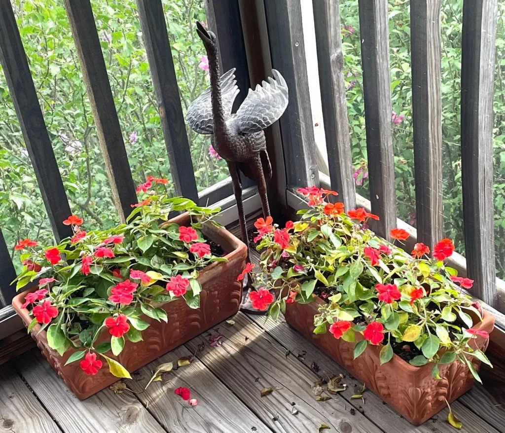 Front Yard Landscaping
