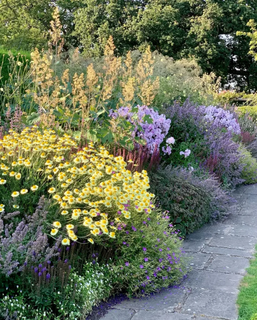 Front Yard Landscaping